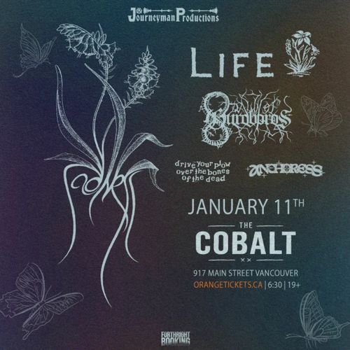 Sadness, Life, Dawn Of Ouroboros, Drive Your Plow Over The Bones Of The Dead, Anchoress